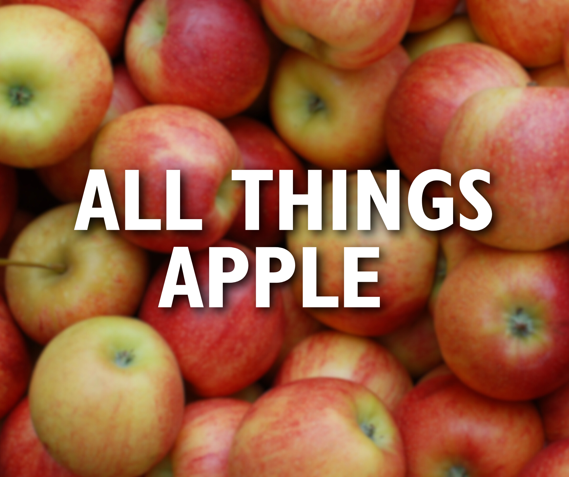 E-Newsletter Graphics